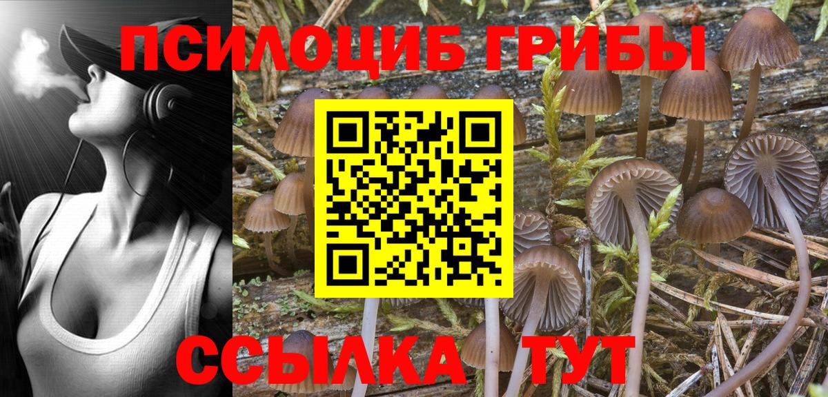 Псилоцибиновые грибы мицелий  Галлюциногенные грибы Cubensis  Вход с VPN  Нефтекамск 